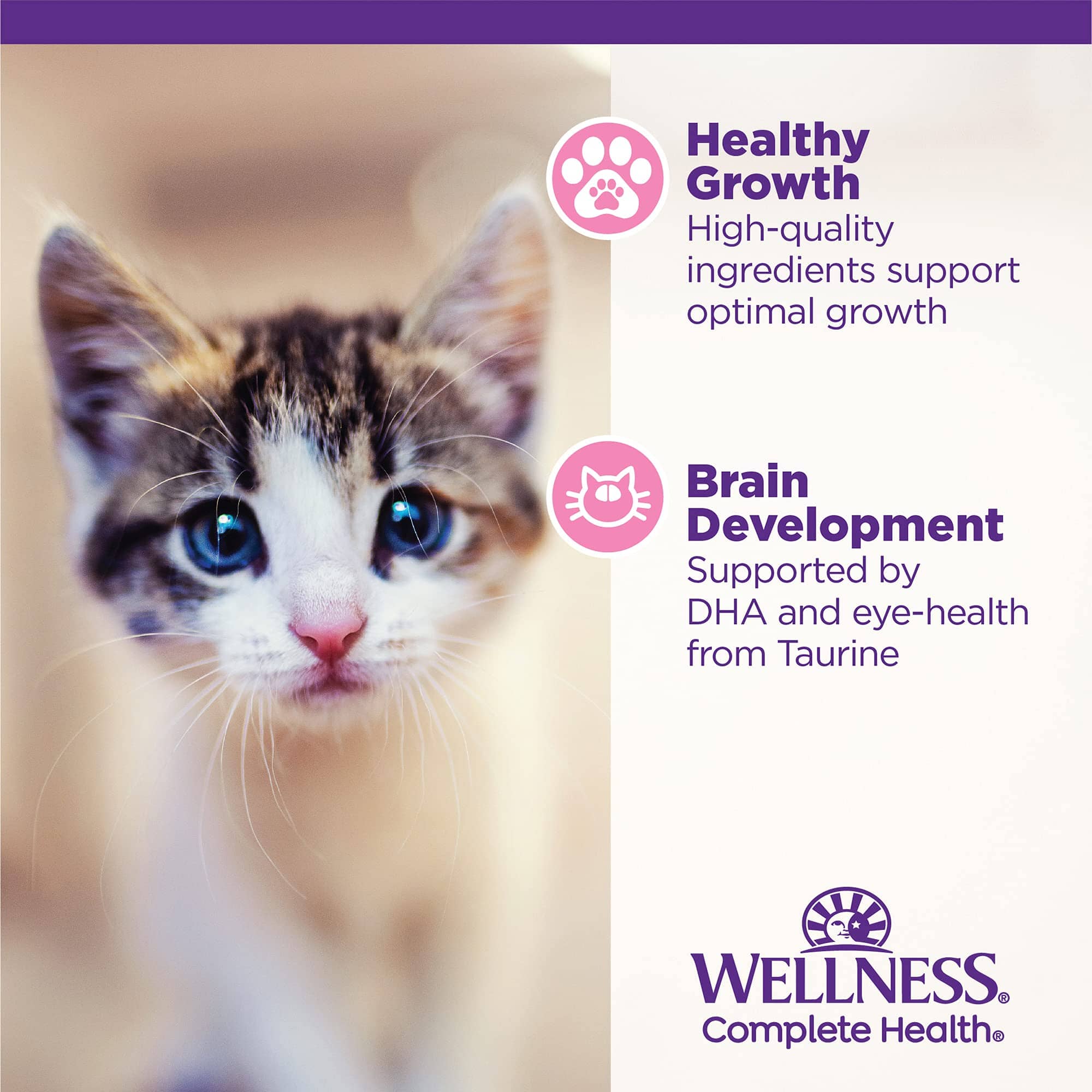 Wellness Complete Health Chicken Pate Entrée Kitten Formula Canned Cat Food - 5.5 Oz - Case of 24  