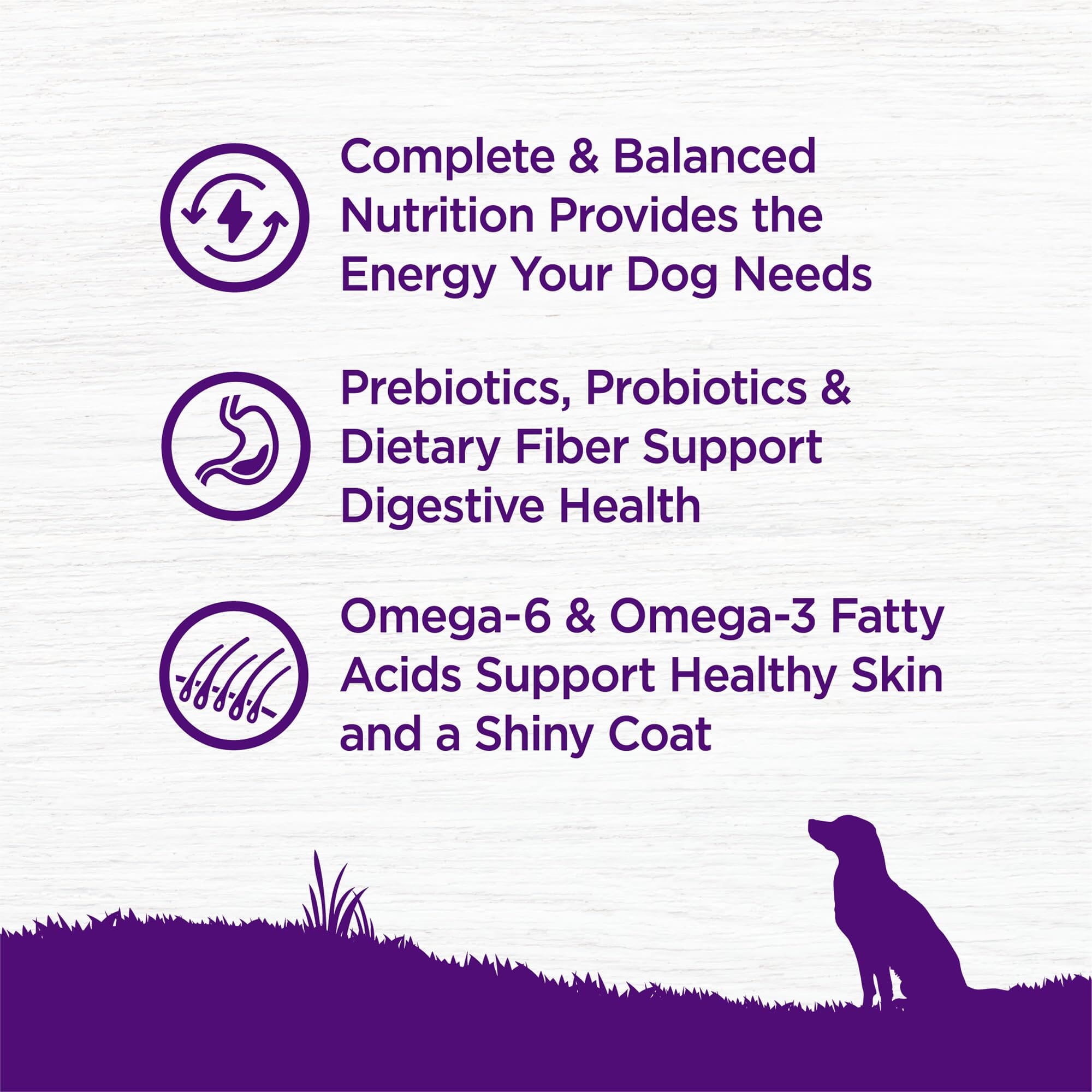 Wellness Complete Health Natural Chicken Recipe Dry Dog Food  