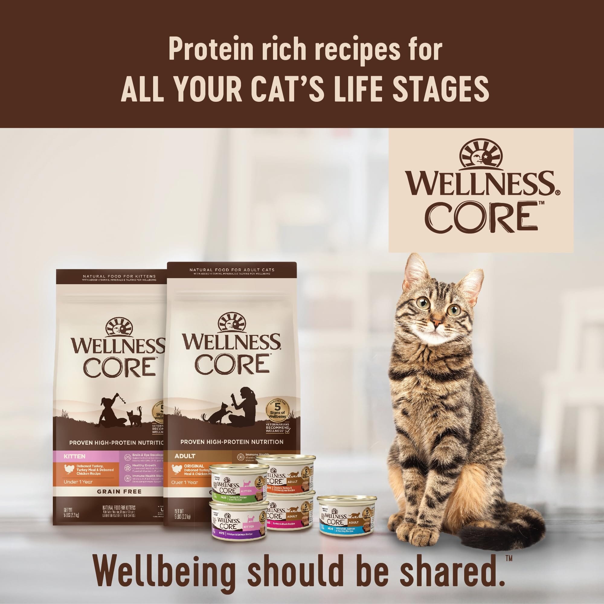 Wellness Complete Health Natural Grain Free Chicken and Herring Pate Wet Canned Cat Food  