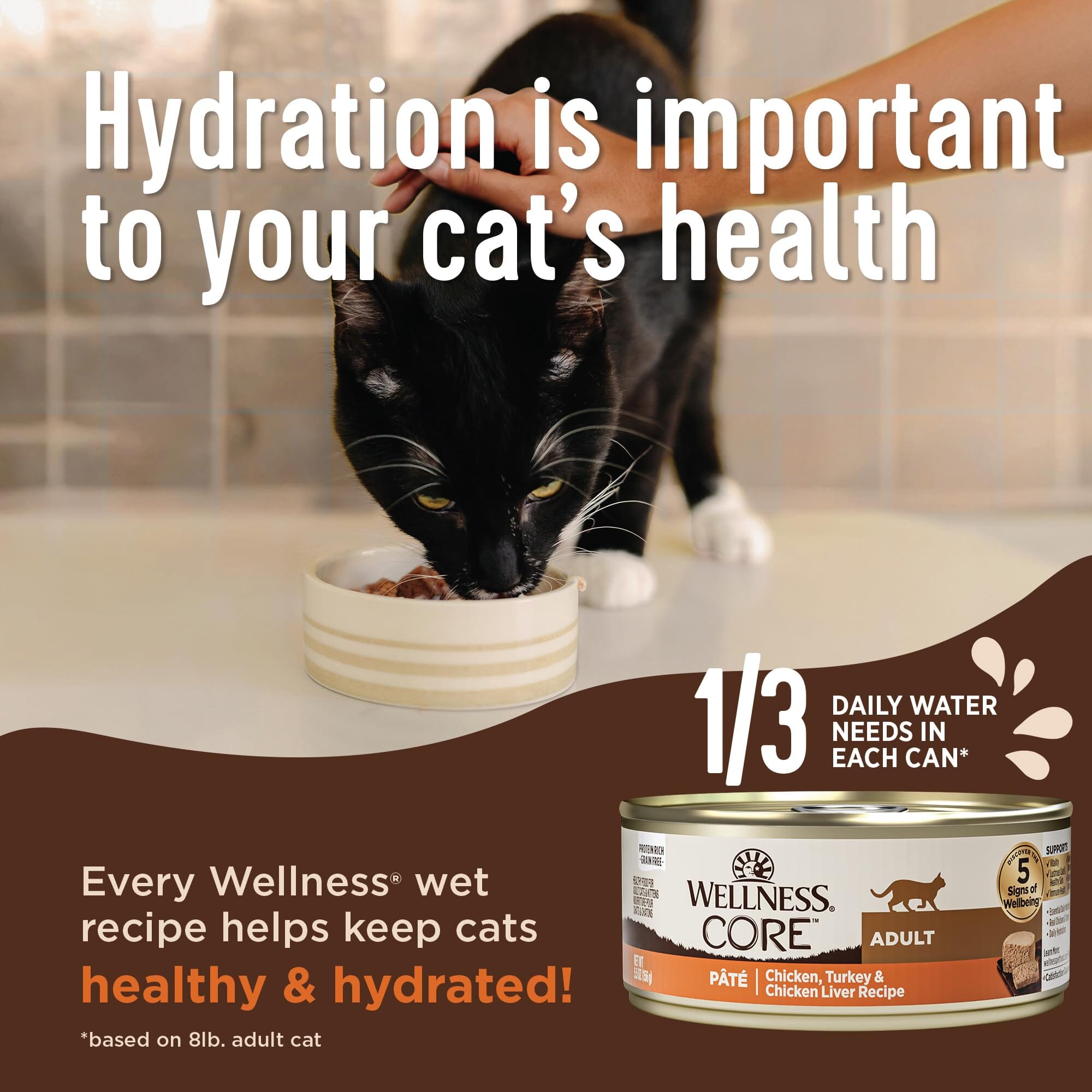 Wellness Complete Health Natural Grain Free Chicken and Herring Pate Wet Canned Cat Food  