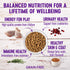 Wellness Complete Health Natural Grain-Free Deboned Chicken Adult Dry Cat Food - 2.25 Lbs  