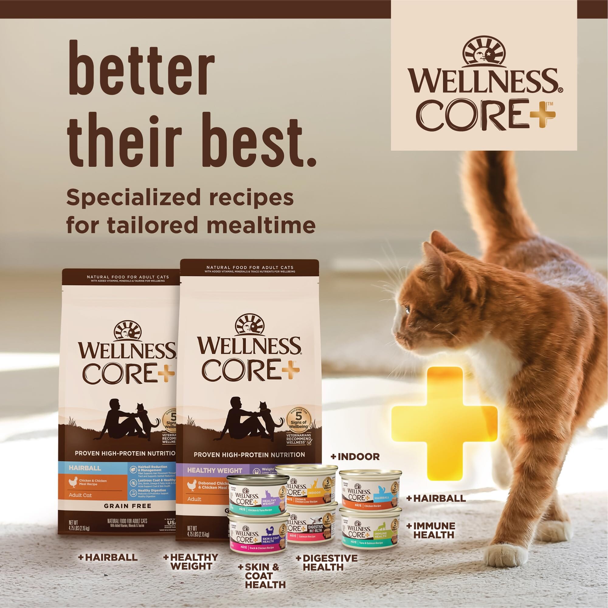 Wellness Complete Health Natural Grain Free Turkey and Salmon Pate Wet Canned Cat Food  