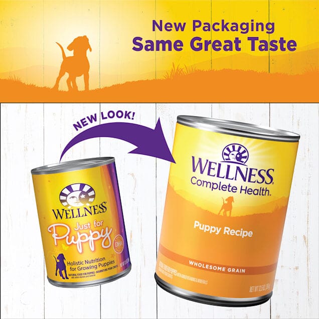 Wellness Complete Health Natural Just for Puppy Chicken and Salmon Recipe Wet Canned Dog Food