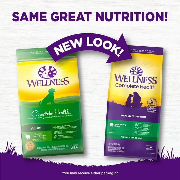 Wellness Complete Health Natural Lamb & Barley Recipe Dry Dog Food