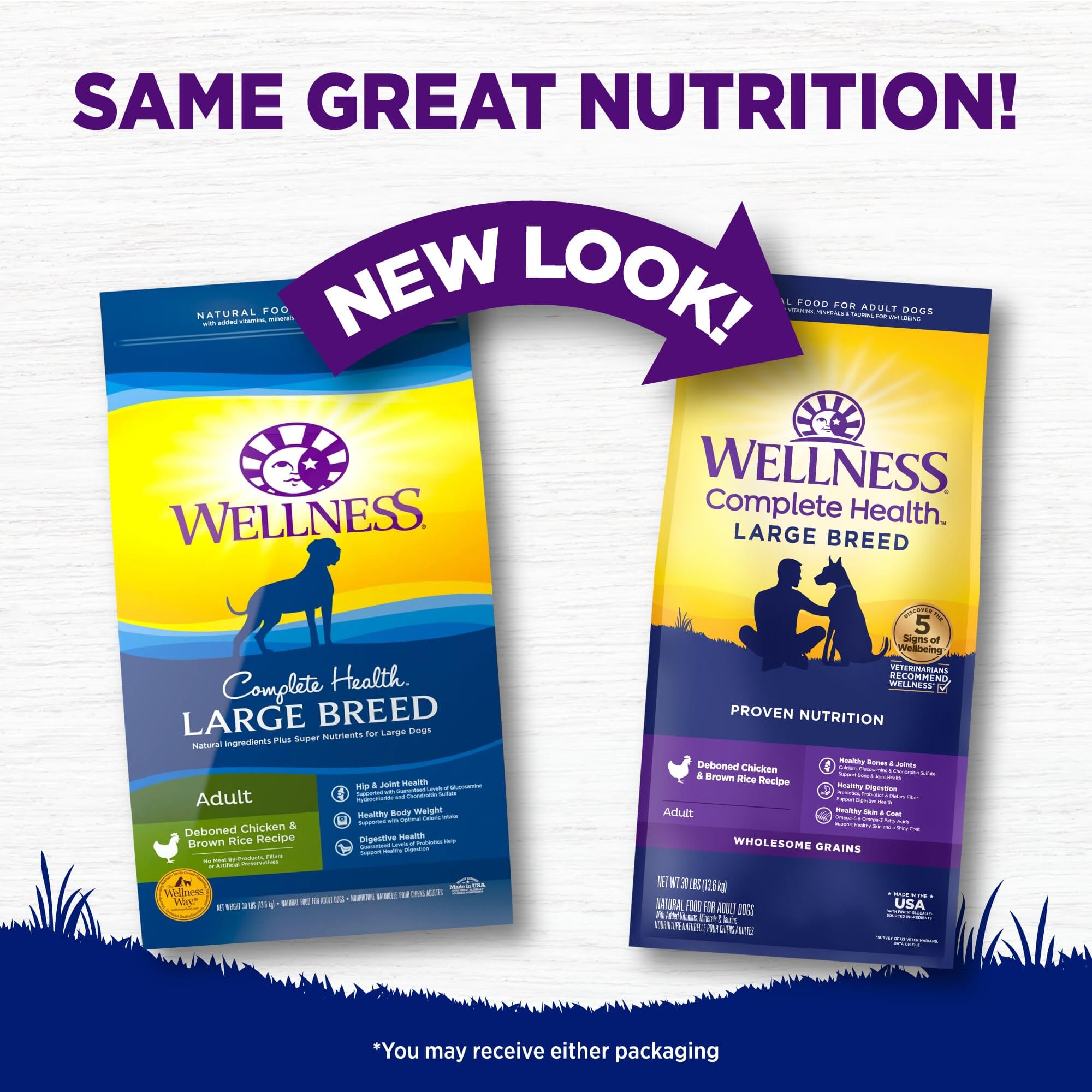 Wellness Complete Health Natural Large Breed Adult Chicken and Brown Rice Recipe Dry Dog Food  