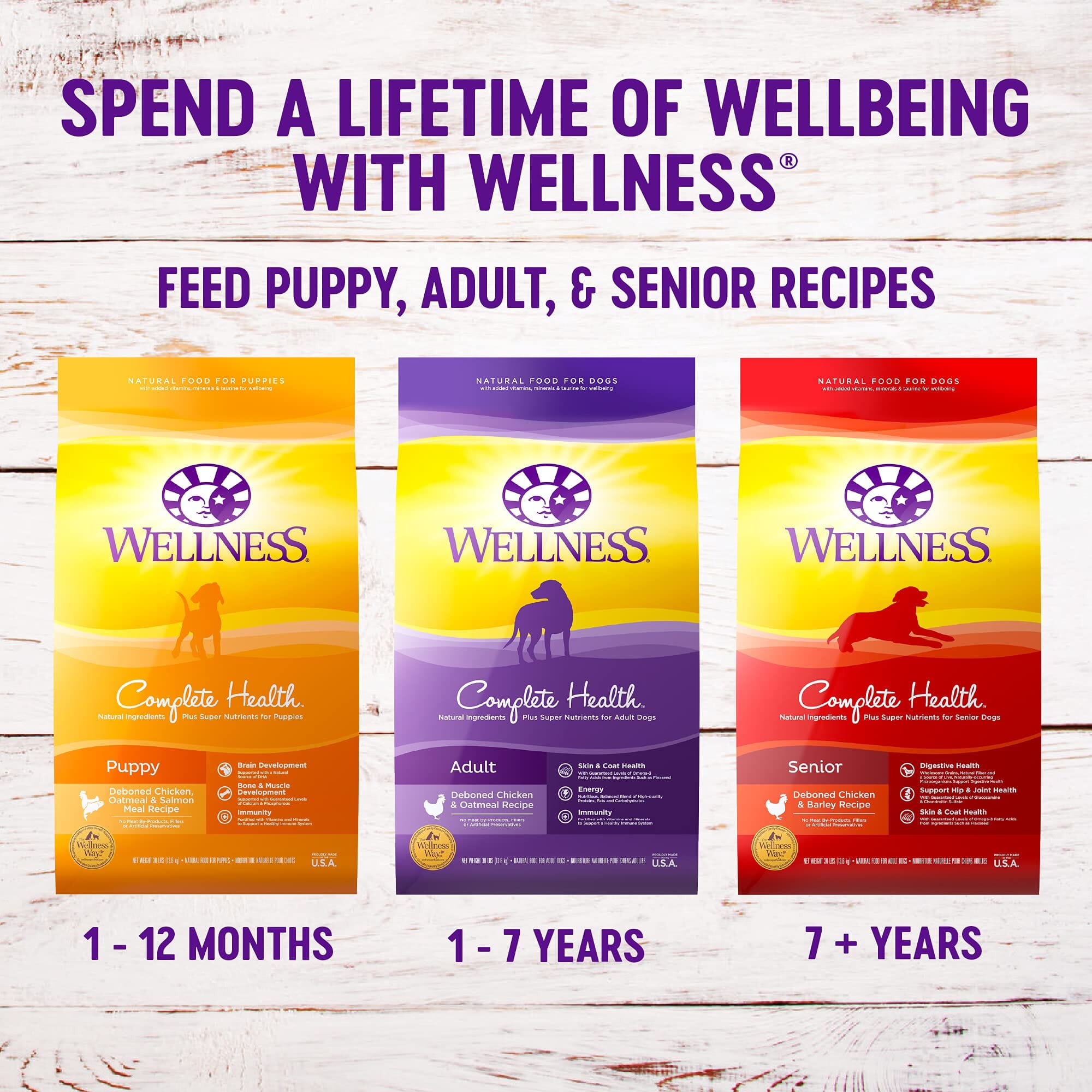 Wellness Complete Health Natural Puppy Chicken, Oatmeal and Salmon Dry Dog Food  