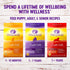 Wellness Complete Health Natural Puppy Chicken, Oatmeal and Salmon Dry Dog Food  
