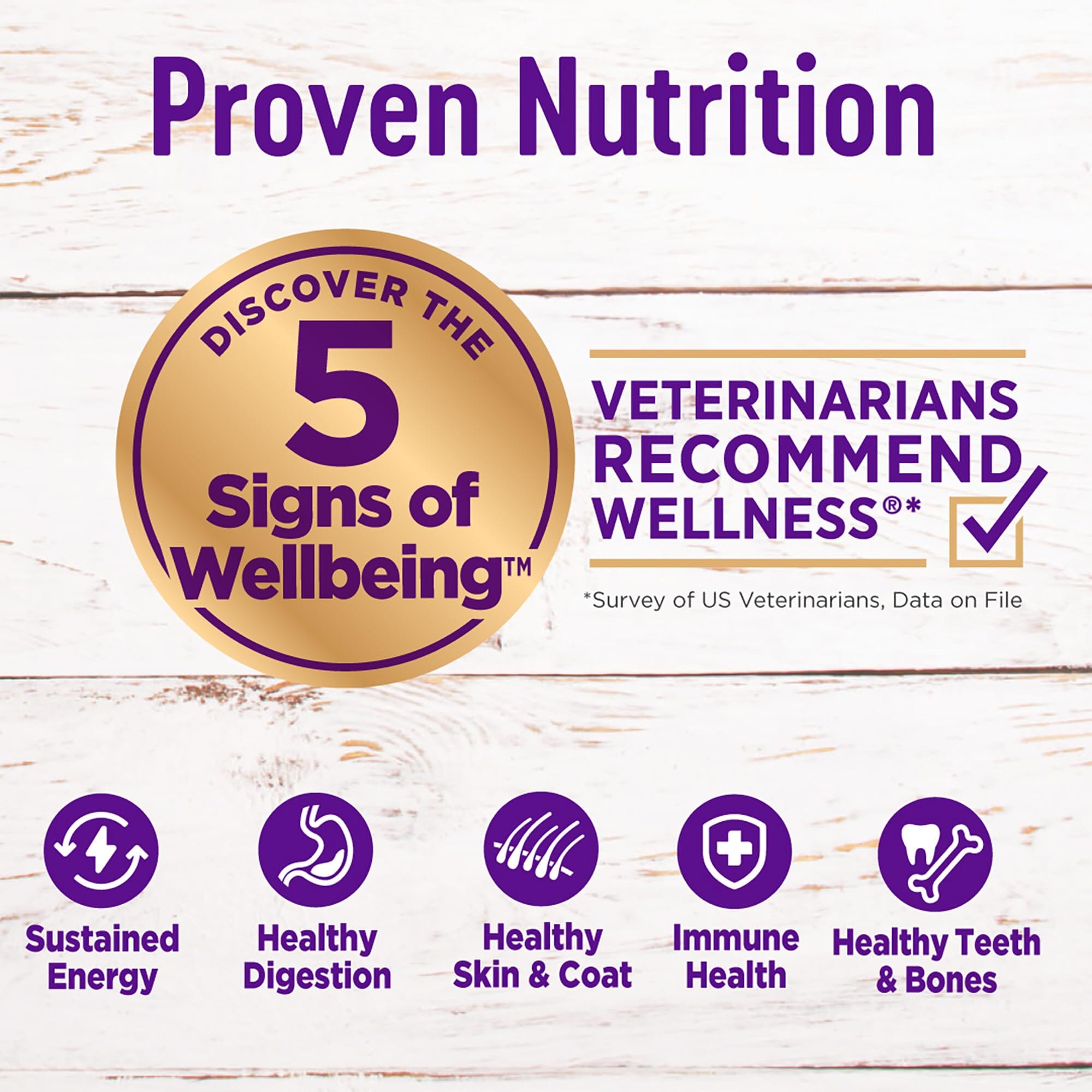 Wellness Complete Health Natural Puppy Chicken, Oatmeal and Salmon Dry Dog Food  