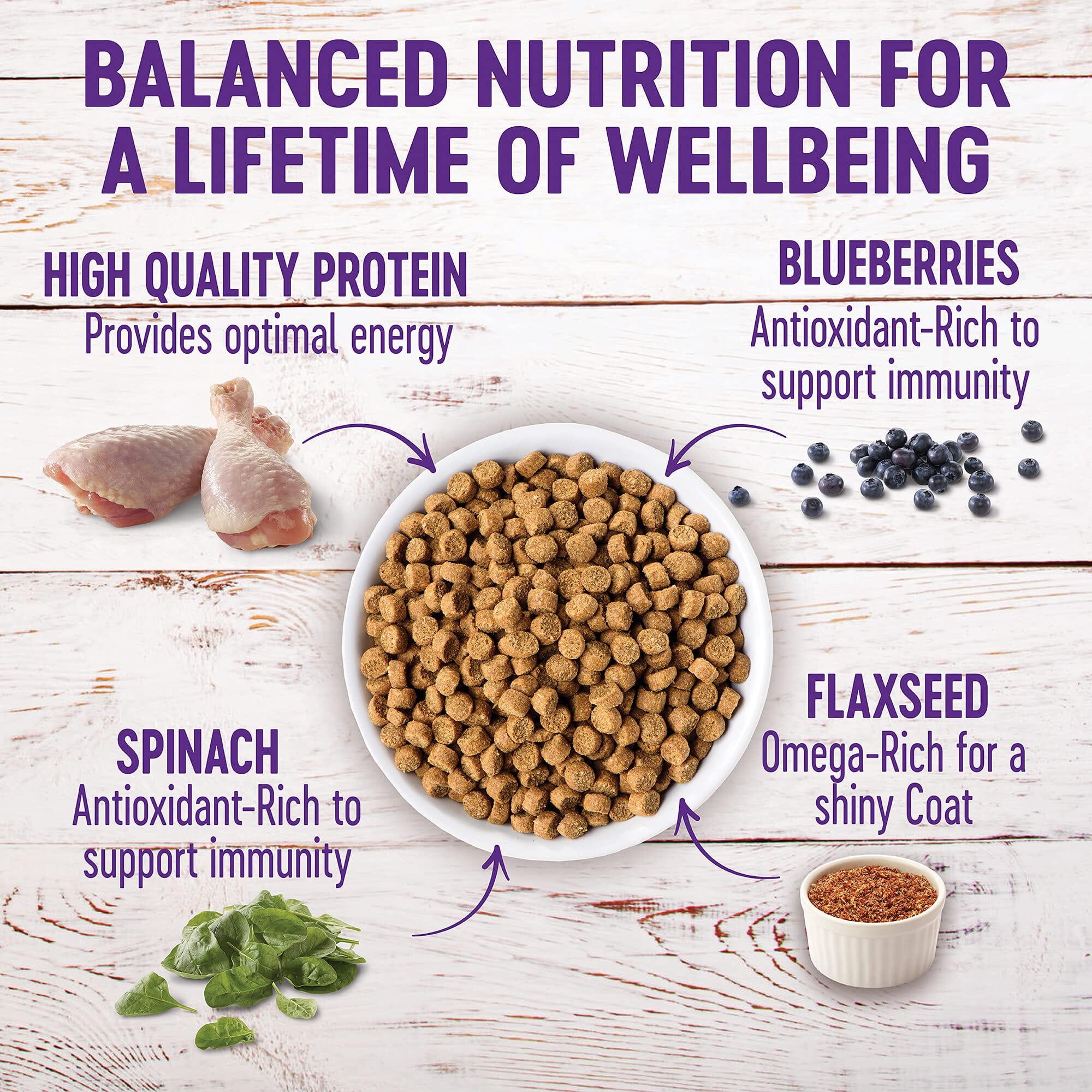 Wellness Complete Health Natural Puppy Chicken, Oatmeal and Salmon Dry Dog Food  