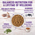 Wellness Complete Health Natural Puppy Chicken, Oatmeal and Salmon Dry Dog Food  