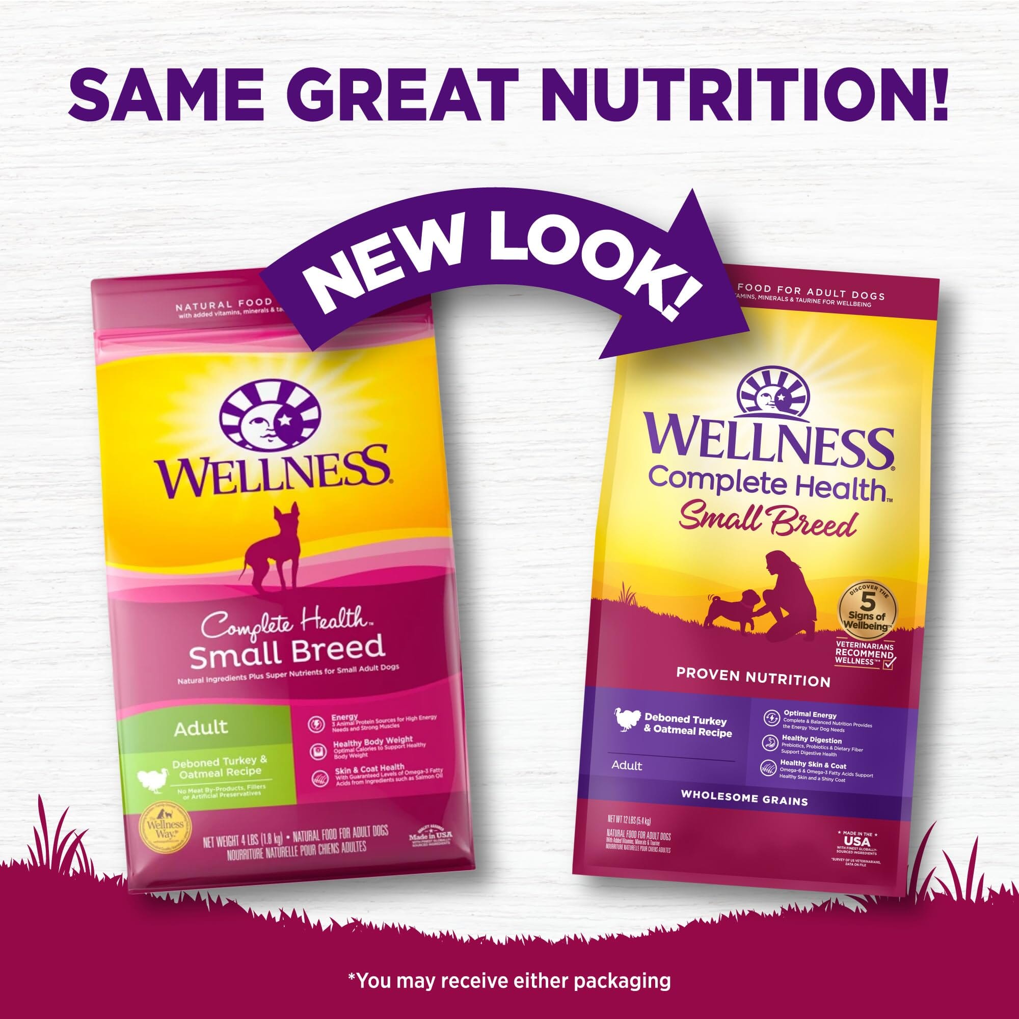 Wellness Complete Health Natural Small Breed Adult Turkey and Oatmeal Recipe Dry Dog Food  