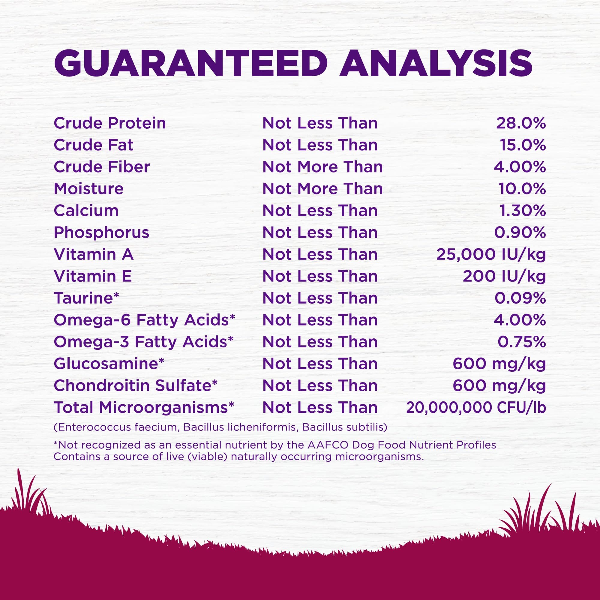 Wellness Complete Health Natural Small Breed Adult Turkey and Oatmeal Recipe Dry Dog Food  