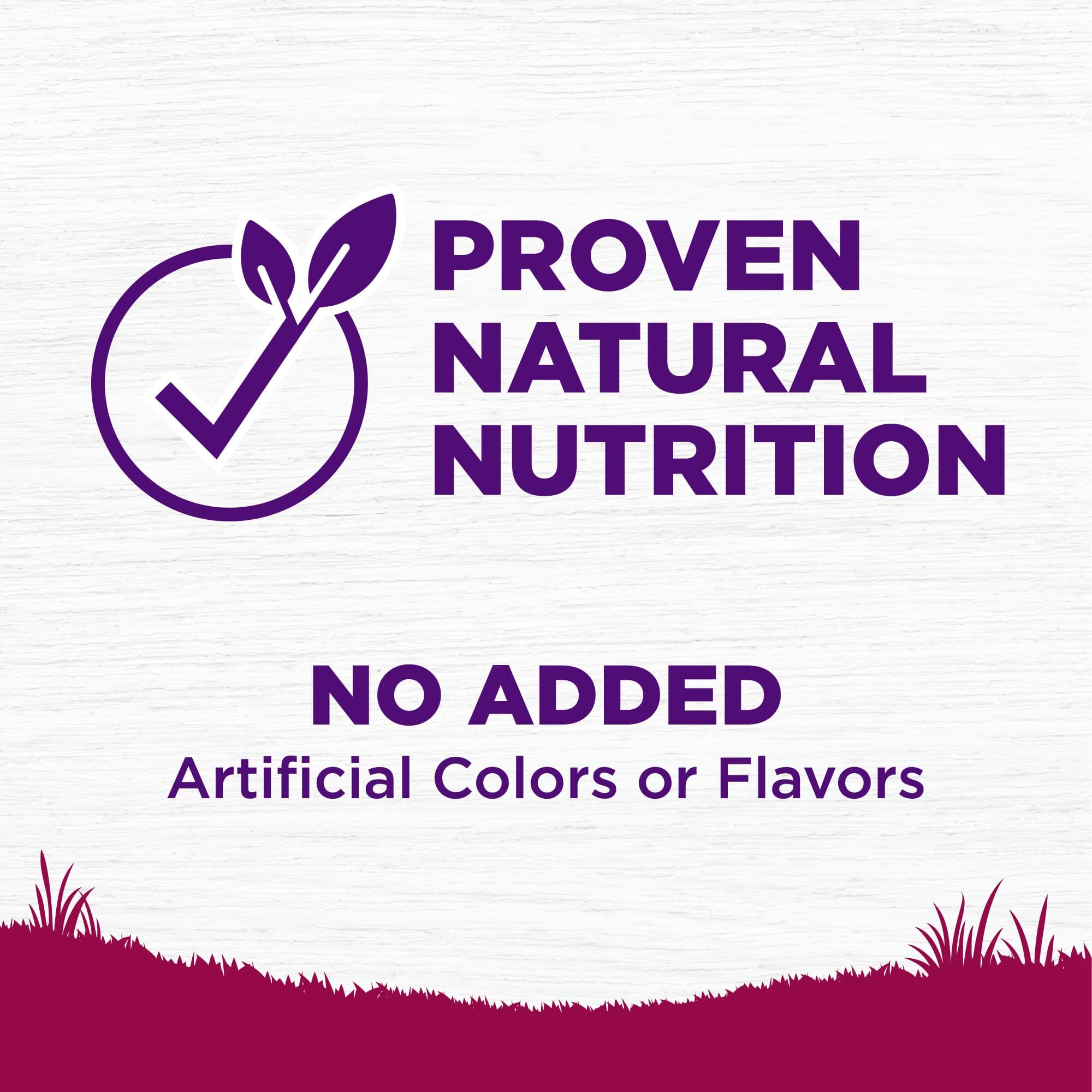 Wellness Complete Health Natural Small Breed Adult Turkey and Oatmeal Recipe Dry Dog Food  