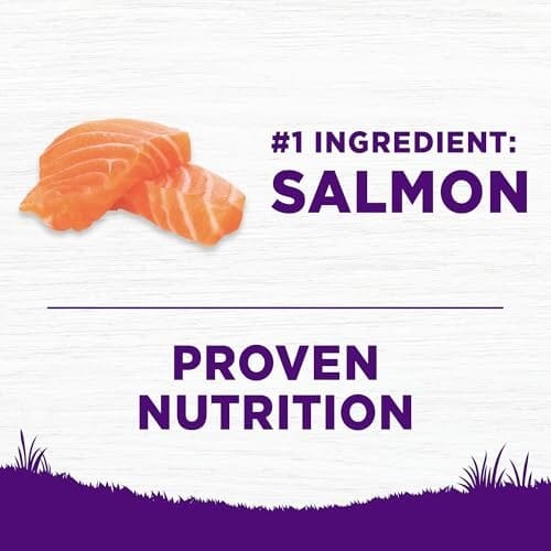 Wellness Complete Health Sensitive Skin and Stomach Wholesome Grains Salmon and Rice Adult Dry Dog Food - 5 Lbs