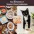 Wellness Core 95% Grain-Free Chicken Smooth Pate Canned Cat Food - 5.5 Oz - Case of 12  