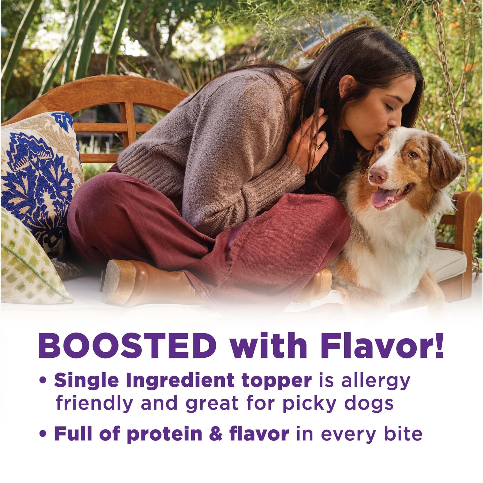 Wellness Core Bowl Boosters Grain-Free Freeze-Dried Turkey Wet Dog Food Topper or Mixer Pouch - 4 Oz - Case of 6  