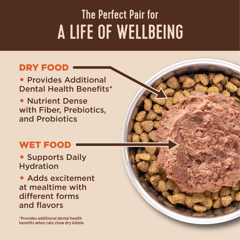 Wellness CORE Grain-Free Chicken and Salmon Pate Kitten Canned Cat Food - 3 Oz - Case of 12 Default Title