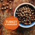 Wellness CORE Grain Free Natural Small Breed Health Turkey and Chicken Recipe Dry Dog Food  