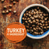 Wellness Core Original High-Protein Deboned Chicken and Turkey with Wholesome Grains Adult Dry Dog Food - 4 Lbs  