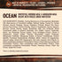 Wellness Core Raw-Rev Oceans Recipe with Freeze-Dried Whitefish and Wholesome Grains Adult Dry Dog Food - 4 Lbs  