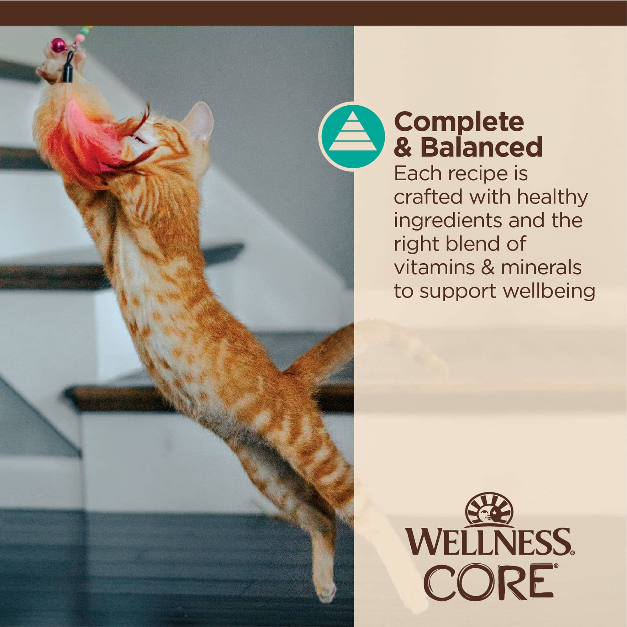 Wellness Core Tiny Tasters Grain-Free Flaked Tuna and Salmon in Broth Wet Cat Food Pouch - 1.75 Oz - Case of 12  