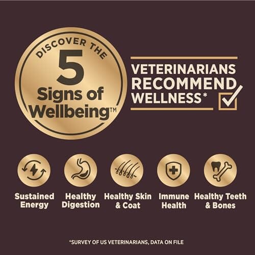 Wellness CORE+ Wholesome Grains High-Protein Beef and Barley Adult Freeze-Dried Pieces and Dry Dog Food - 4 Lbs