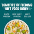 Weruva Funky Chunky Canned Dog Food - 5.5 Oz - Case of 24  