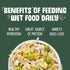 Weruva Green Egg and Chicken Canned Dog Food - 5.5 Oz - Case of 24  