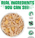 Weruva Green Egg Chicken Canned Cat Food - 3 Oz - Case of 24  