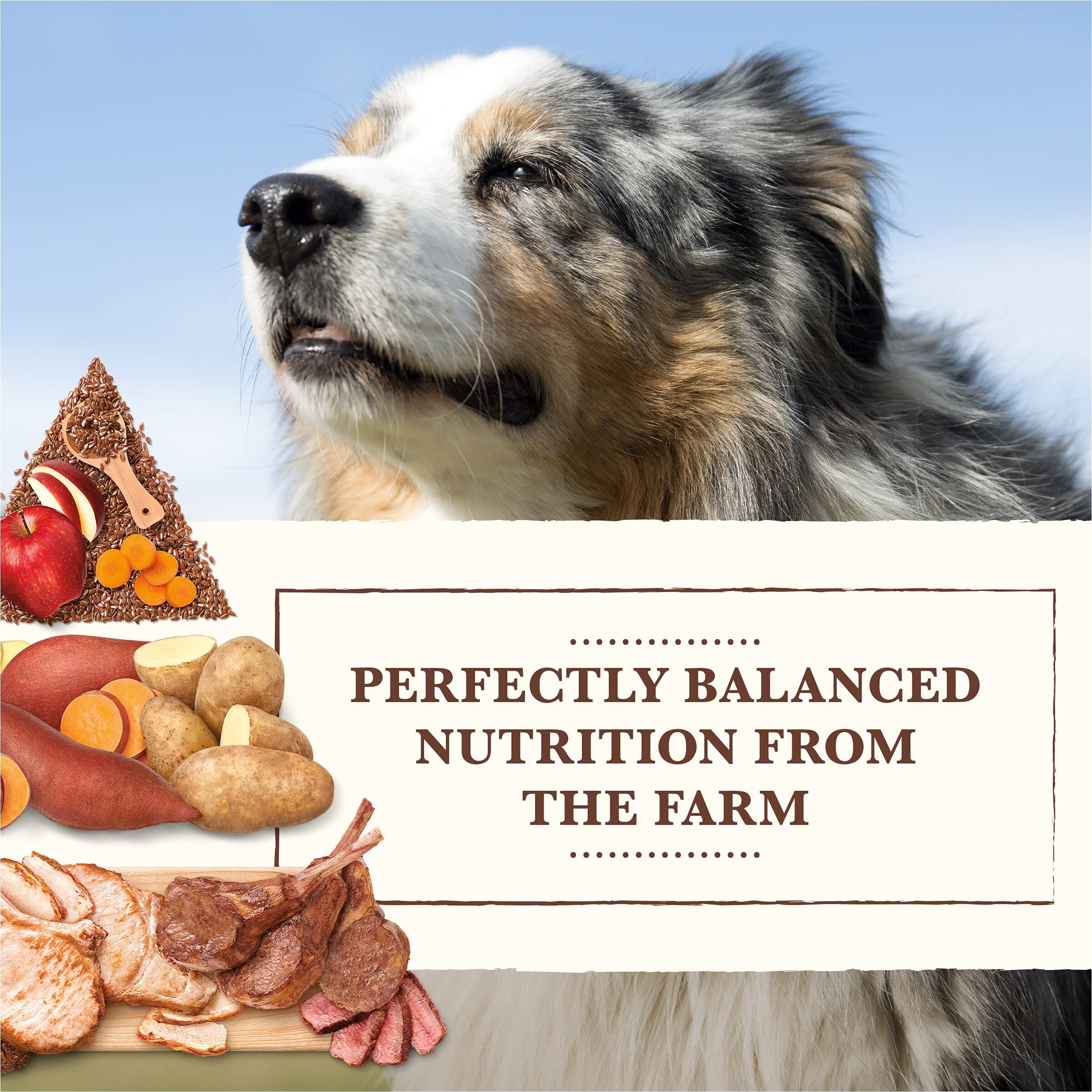 Whole Earth Farms Grain-Free Beef and Lamb Dry Dog Food - 25 Lbs  