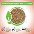 World's Best Cat Litter Poop Fighter Odor Defense Dust-Free Clumping Lemongrass Scented Corn Cat Litter - Case of 4