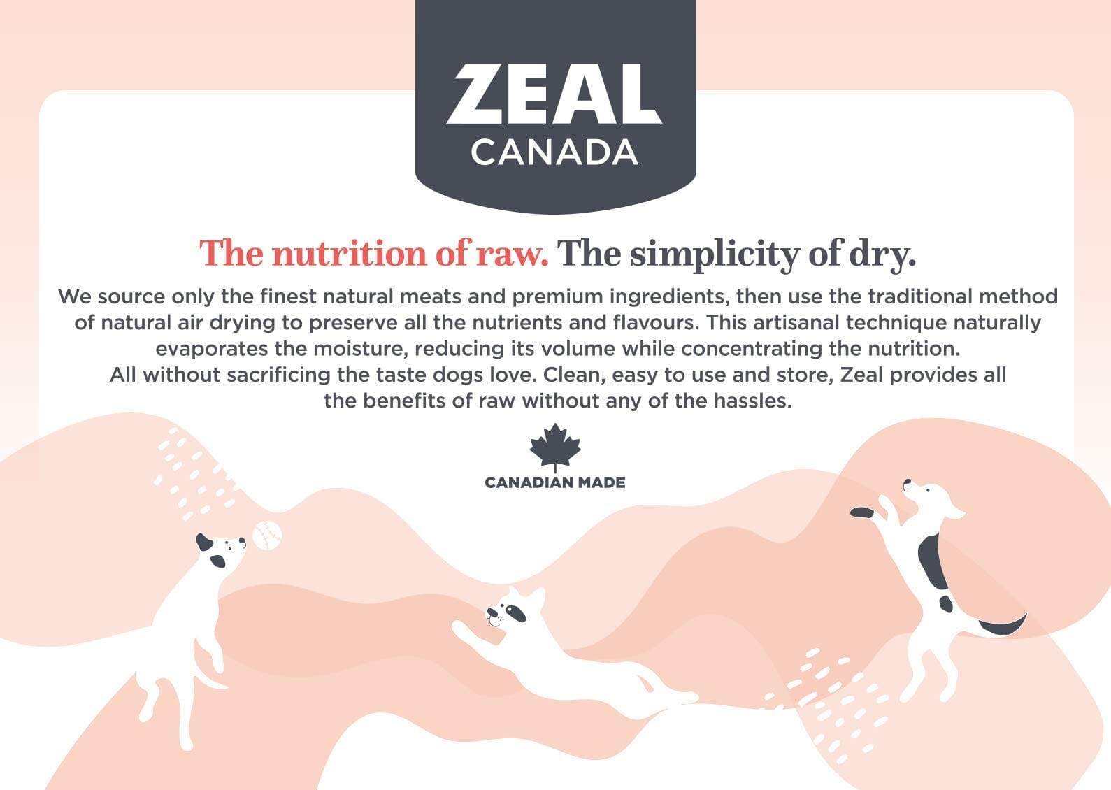 Zeal Grain-Free 96% Salmon Recipe Gently Air-Dried Dog Food - 2.2 Lbs  