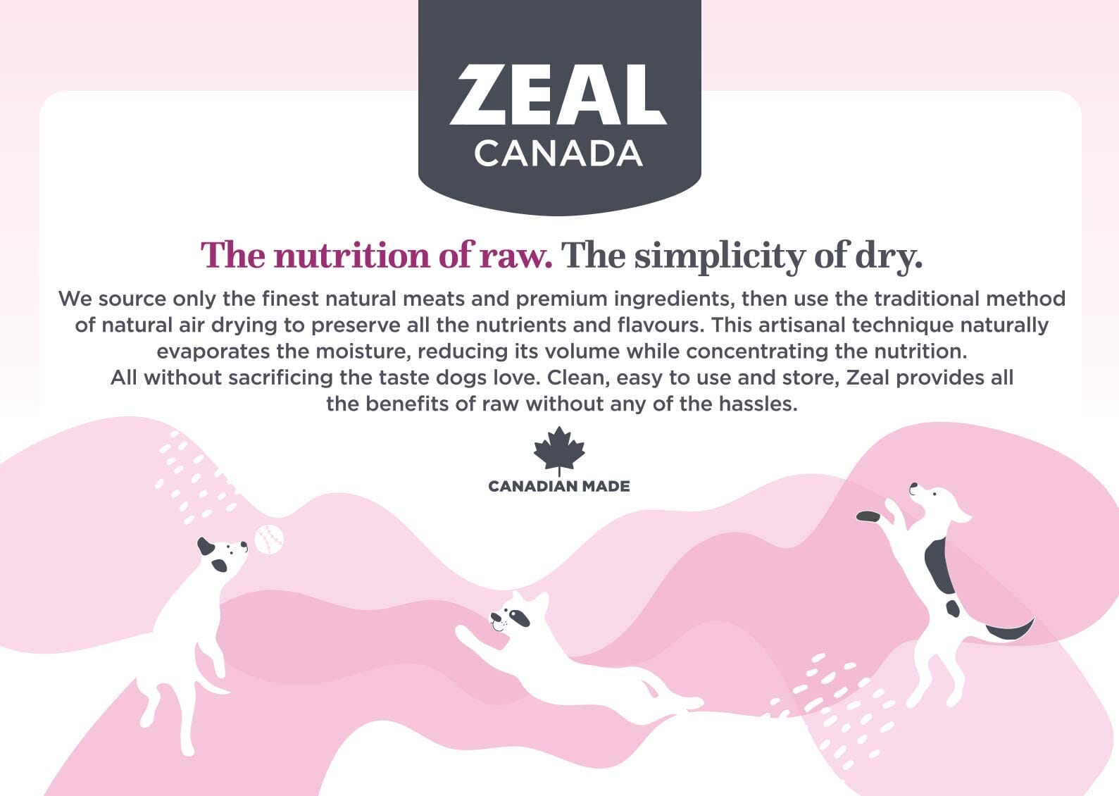 Zeal Grain-Free 96% Turkey Recipe Gently Air-Dried Dog Food - 1 Lb  