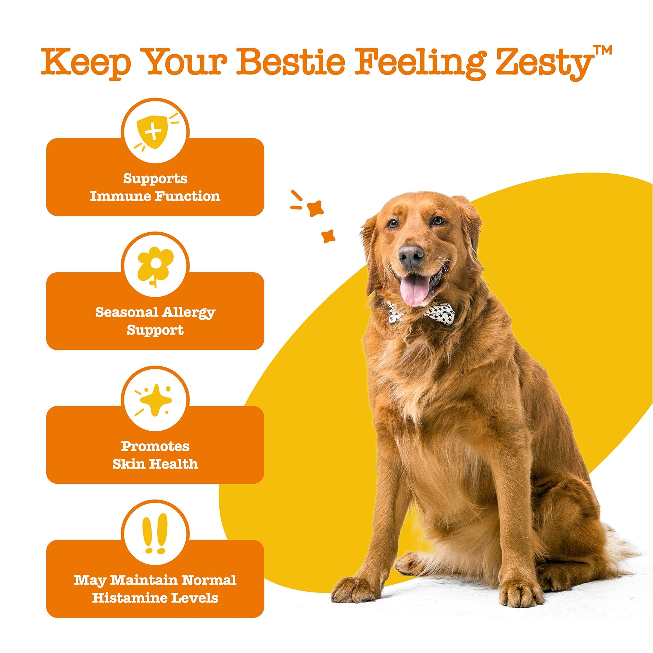 Zesty Paws Lil' Zesties Squares Alergy and Immune Support Lamb Soft Chew Dog Supplements - 10 Oz - Case of 12  
