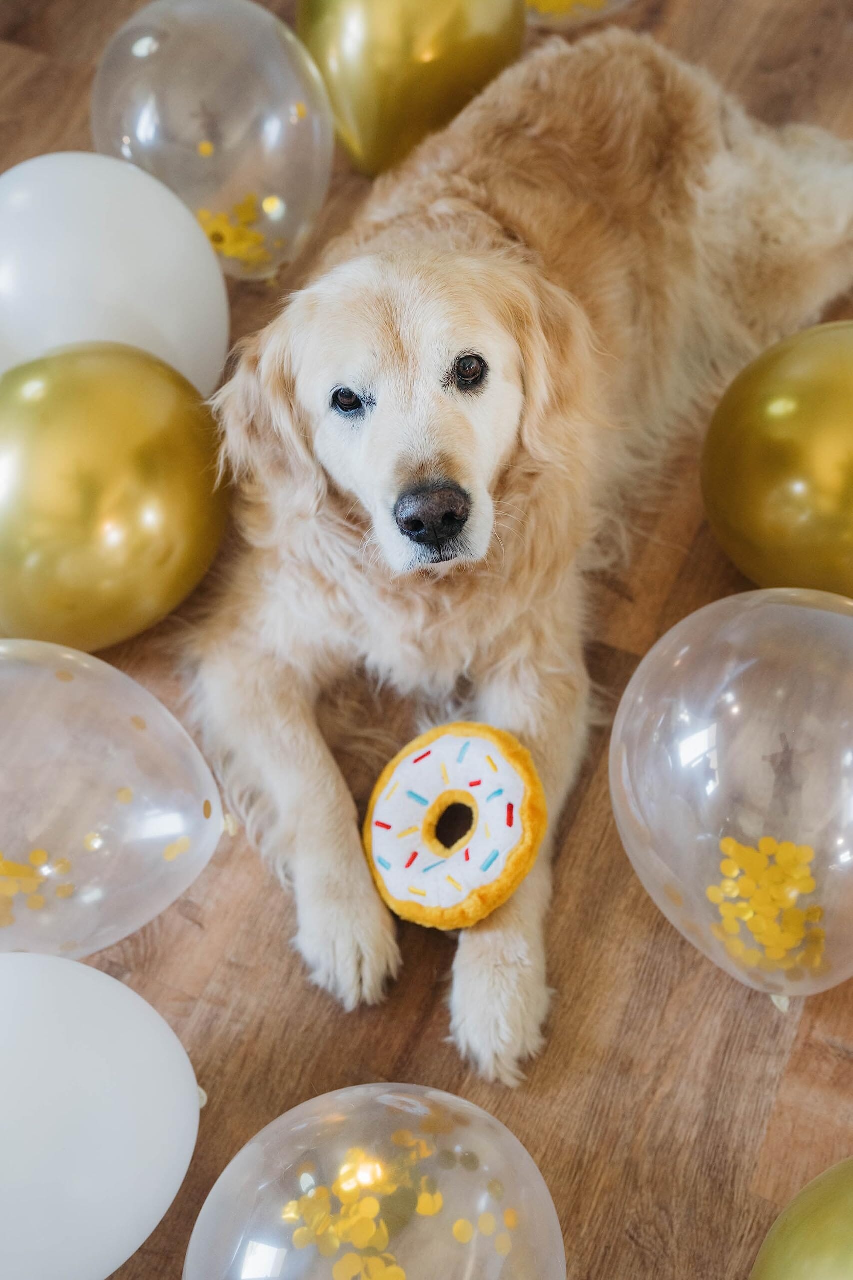 Zippy Paws Donutz Brown Chcocolate Glazed with Sprinkles Squeak and Plush Dog Toy - Medium  