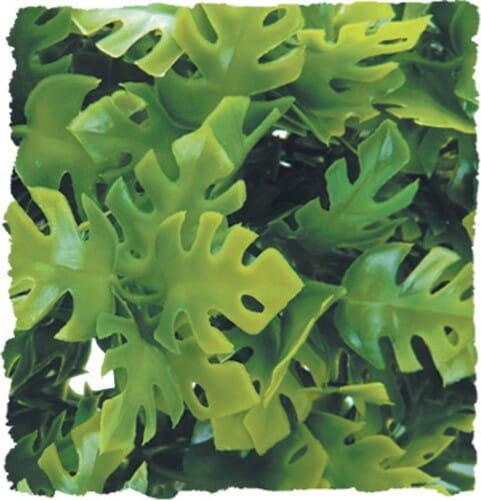 Zoo Med Laboratories Amazonian Phyllo Natural Bush Plastic Plant Terrarium Décor Large - 22 Inch