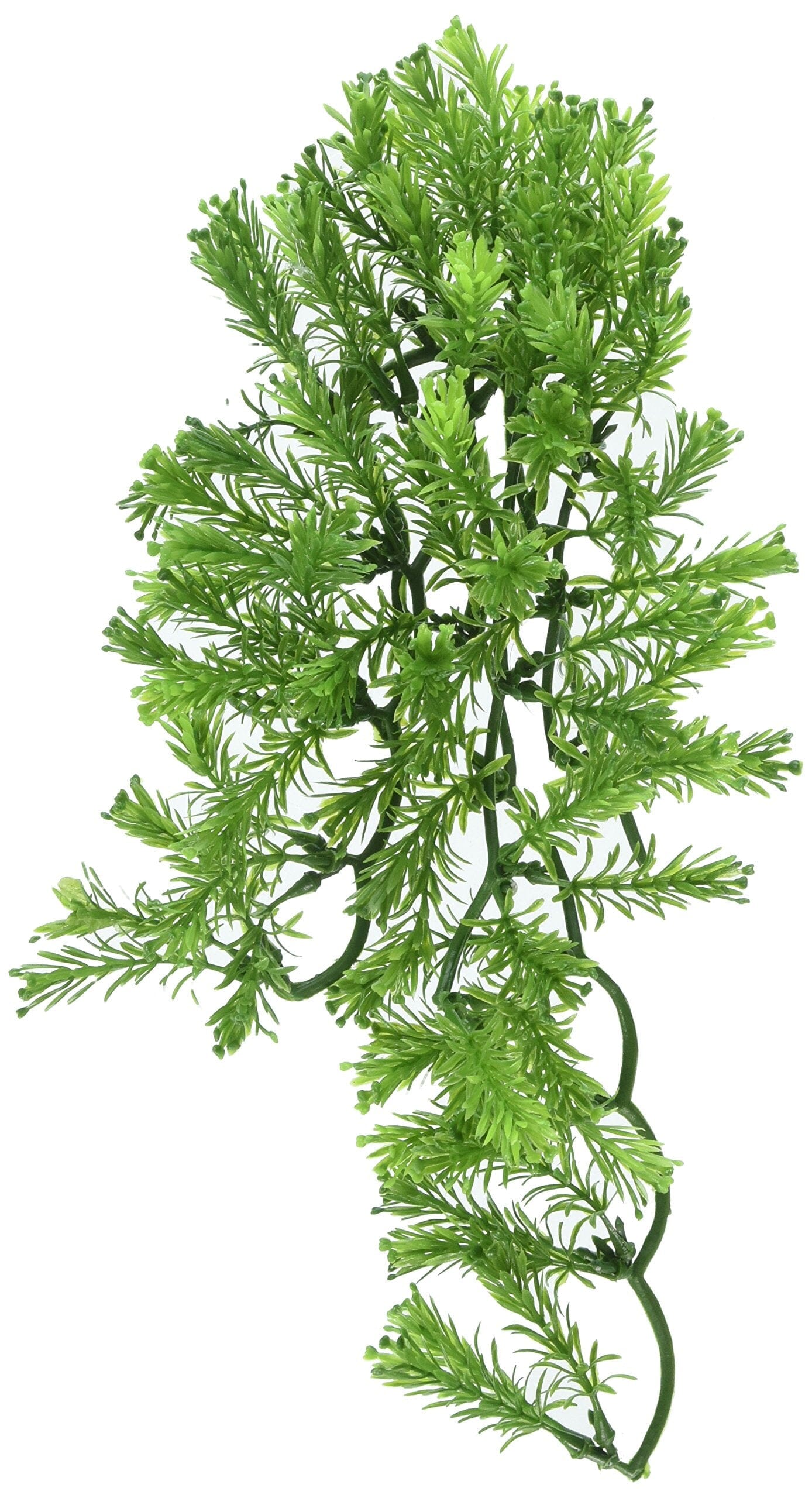 Zoo Med Laboratories Borneo Star Plastic Plant Aquarium Décor - Medium  