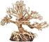 Zoo Med Laboratories Dragon Bonsai Tree Natural Ornament Aquarium Décor - Medium  