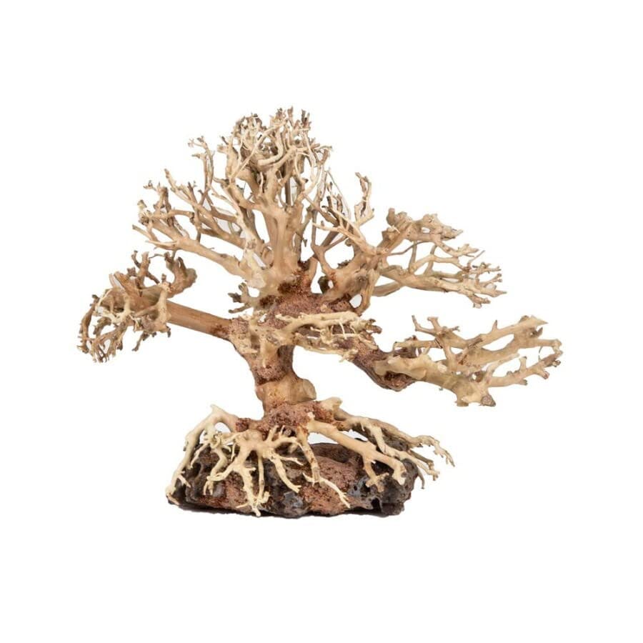 Zoo Med Laboratories Dragon Bonsai Tree Natural Ornament Aquarium Décor - Small  