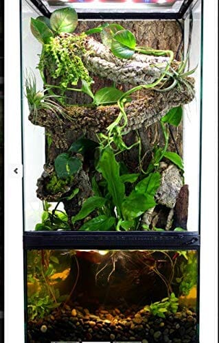 Zoo Med Laboratories Paludarium Aquarium and Terrarium Habitat Kit - 10 Gallons - L:12