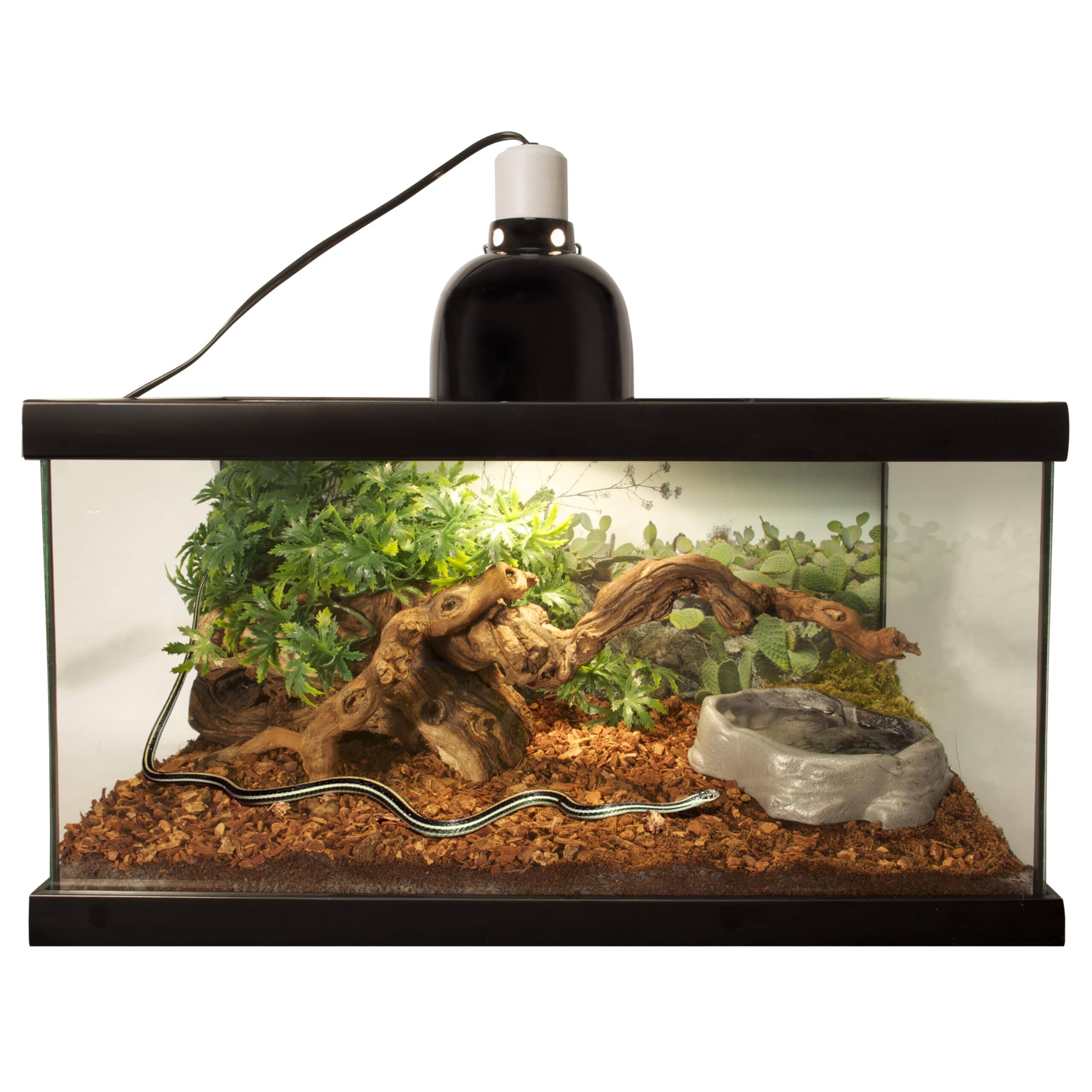 Zoo Med Laboratories Premium Repti-Bark Reptile Bedding Substrate - 15-30 Gallons - 8 Quarts