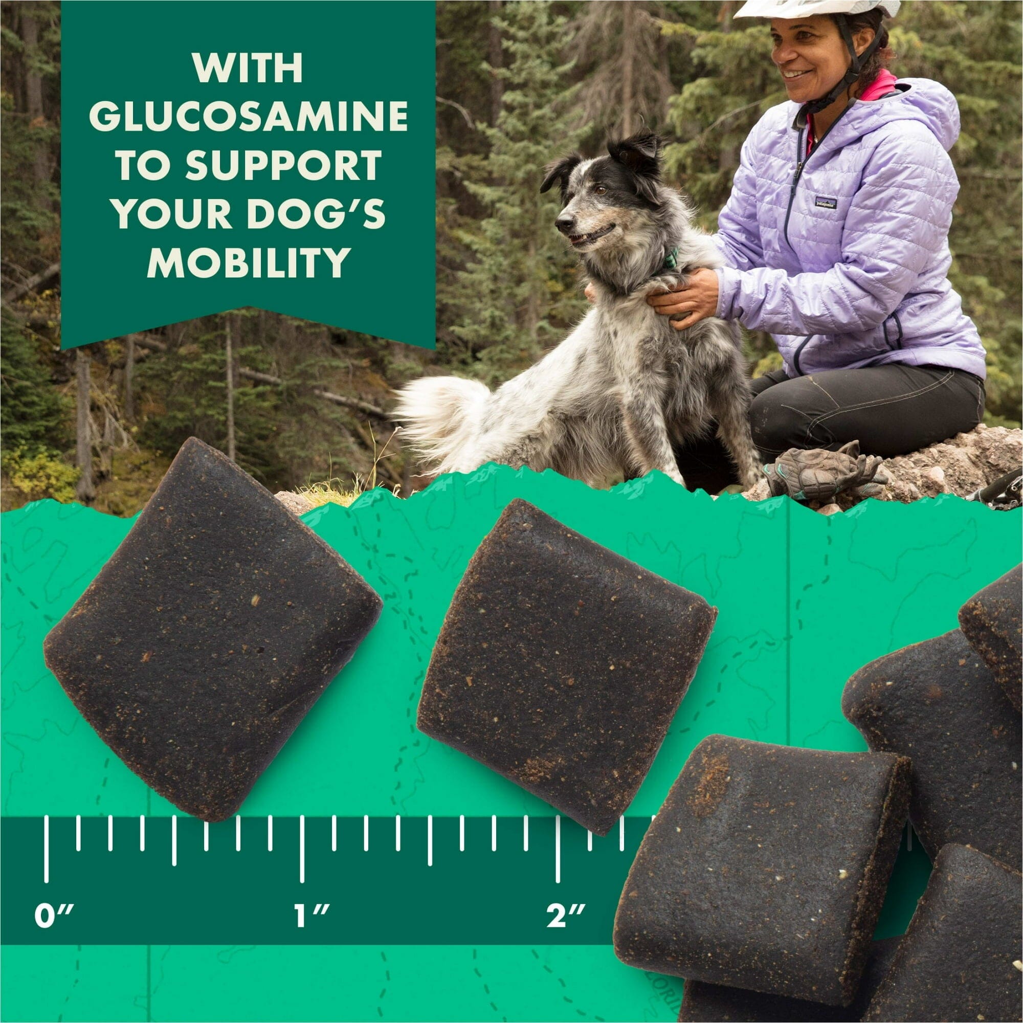 Zuke's Hip and Joint Support Peanut Butter and Oats Recipe Senior Adult Soft and Chewy Dog Treats