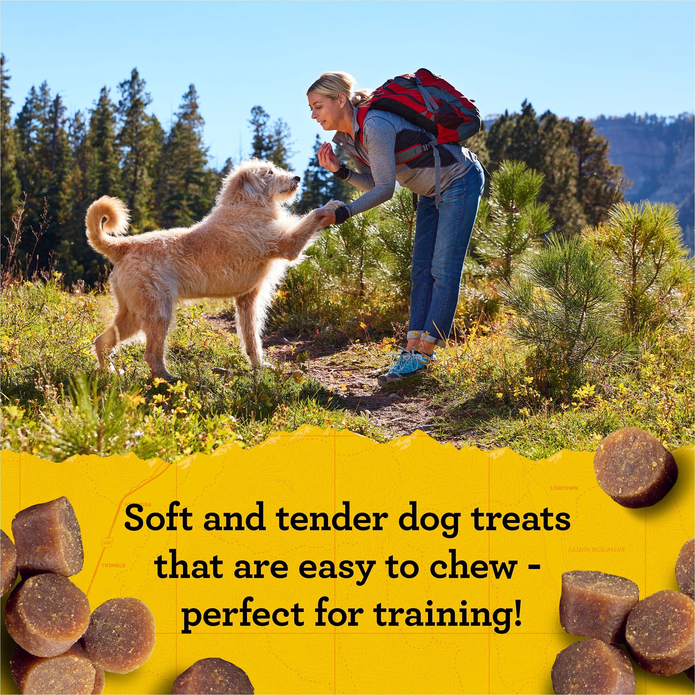 Zukes Mini Naturals Beef Recipe Training Soft and Chewy Dog Treats  