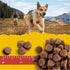 Zuke's Mini Naturals Peanut Butter and Oats Recipe with Vitamins and Minerals Soft and Chewy Training Dog Treats