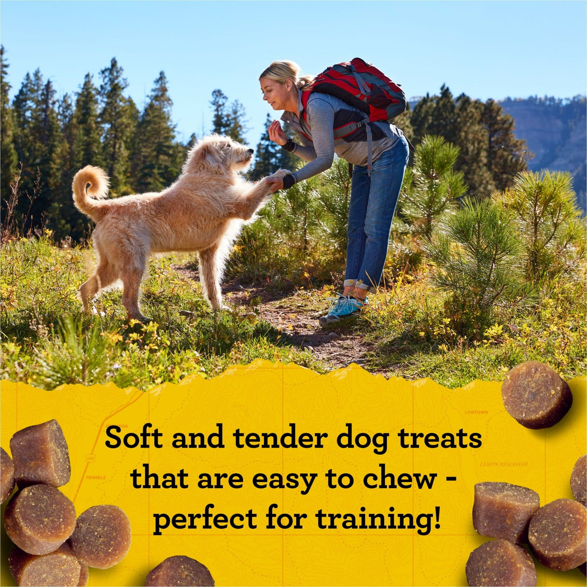 Zuke's Mini Naturals Peanut Butter and Oats Recipe with Vitamins and Minerals Soft and Chewy Training Dog Treats