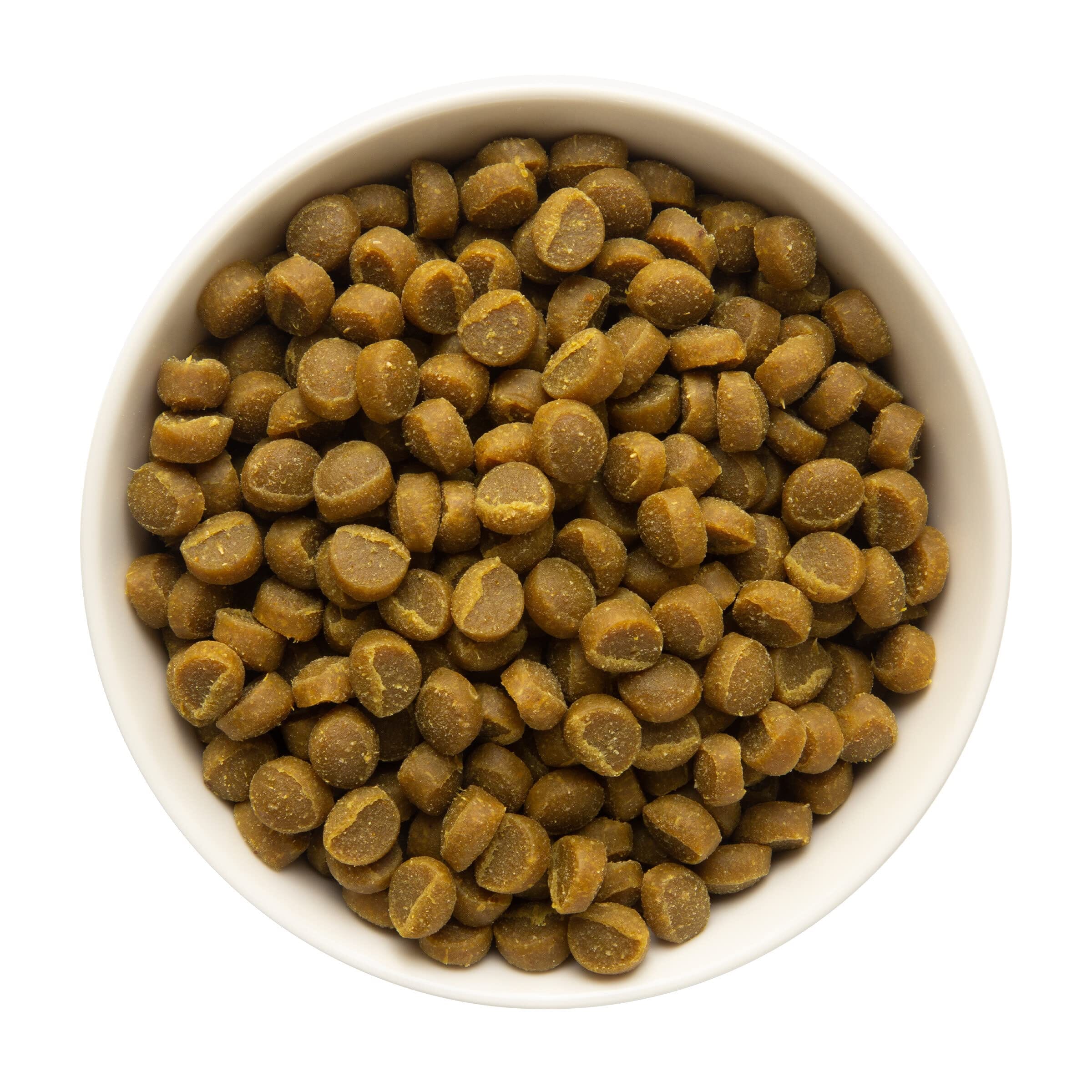 Zukes Mini Naturals Salmon Recipe Training Soft and Chewy Dog Treats  