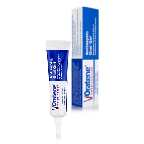 Zymox Oratene Antiseptic Brushless Toothpaste Oral Care Gel for Cats and Dogs - 1 Oz Default Title