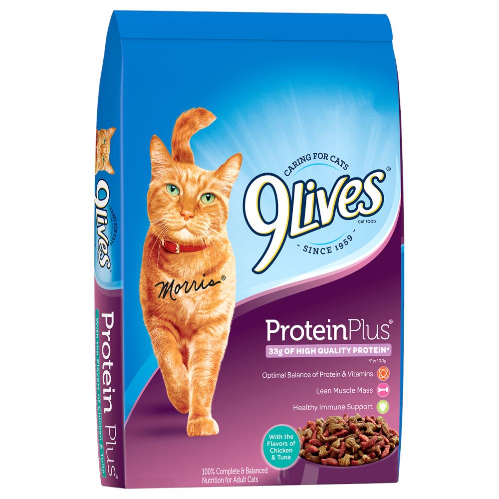 9 Lives Protein Plus Dry Cat Food  