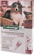 Advantage II Flea and Tick for Dogs - 21 - 55 Lbs - 4 Pack  