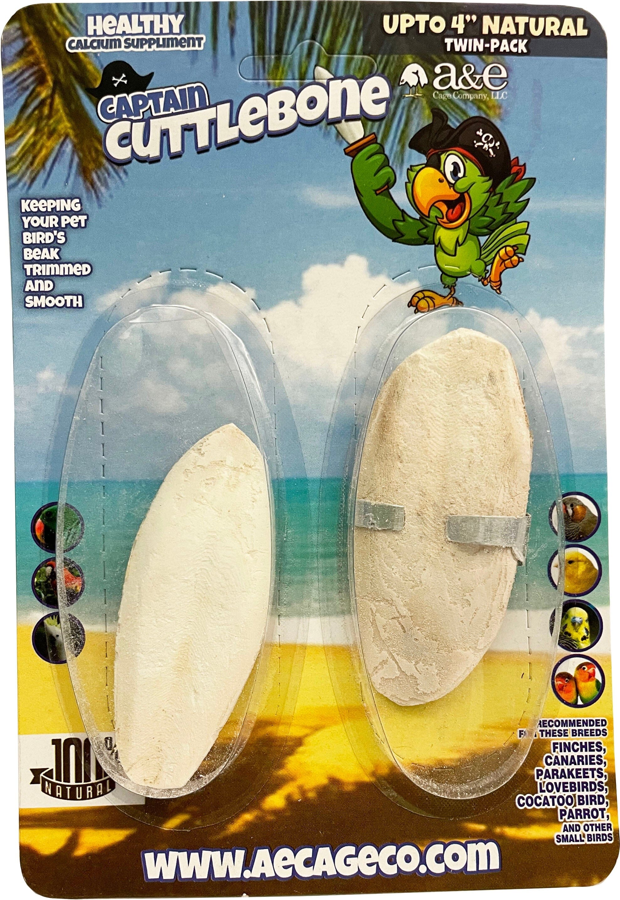 A&E Cage Company Natural Bird Cuttlebone Treats - 4 In - 2 Pack  